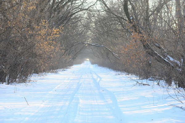 Арсен Мірзоян екранізував «Джеральдіну»